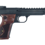 Buy Smith & Wesson Model 41 Optics  With Credit Card Online