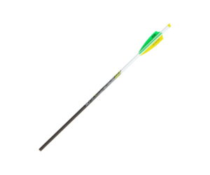 Buy Allen Moa 100 Premium Crossbow Bolt 4 Pack Online