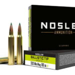 Nosler .300 Winchester Magnum 180 Grain Ballistic Tip Brass Cased For Sale Online