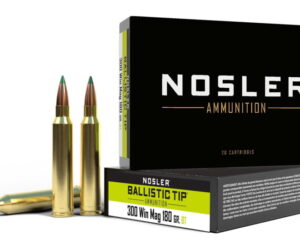 Nosler .300 Winchester Magnum 180 Grain Ballistic Tip Brass Cased For Sale Online