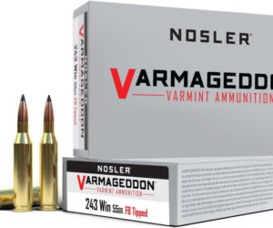 Nosler Varmageddon .243 Winchester 55 Grain Flat Base Tipped Brass Cased For Sale Online 500rnd