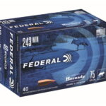 Federal Premium HORNADY V-MAX .243 Winchester 75 grain Hornady V-Max For Sale 500rnds
